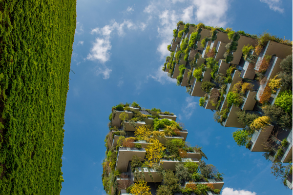 Como Prevenir e Resolver Problemas Comuns na Manutenção de Jardins Verticais