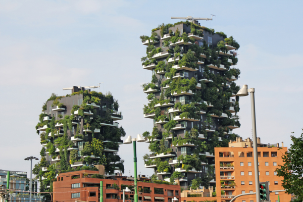 Podas e Cuidados com as Plantas em Jardins Verticais