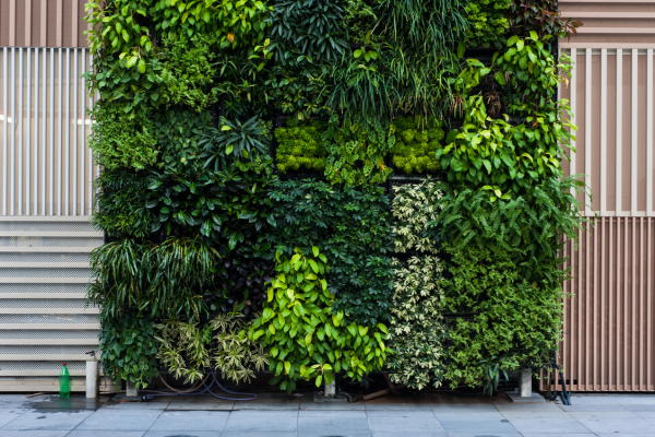 Mantenha suas Plantas Felizes: O Papel da Irrigação em Hortas Verticais