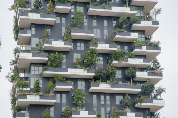 Plantas Tropicais para Jardins Verticais: Uma Decoração Diferente na Cidade