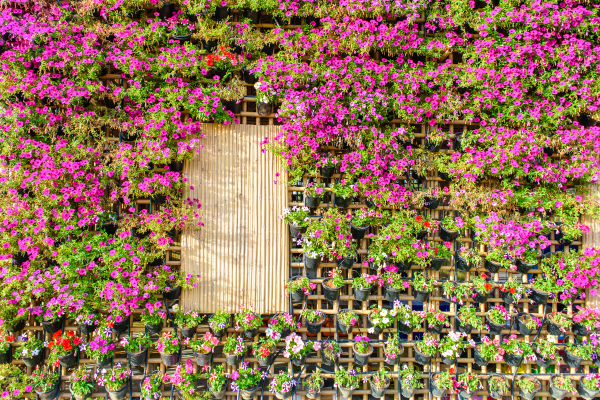 Sugestões de Técnicas de Irrigação para Jardins Verticais Sustentáveis