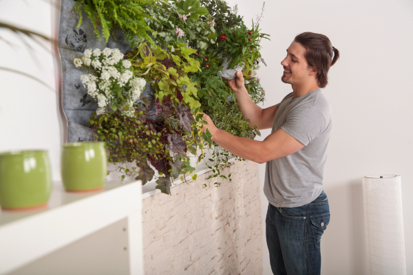 Como Manter Seu Jardim Vertical Urbano em Boas Condições