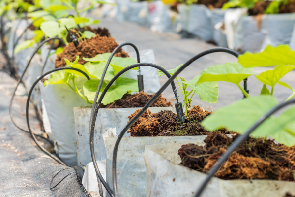 Irrigação por Capilaridade: Uma Alternativa Sustentável para Seu Jardim