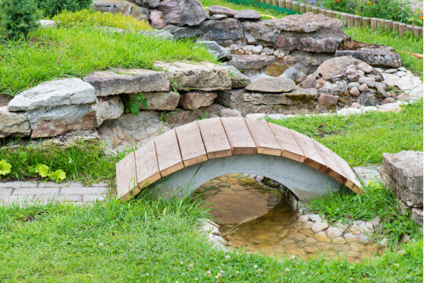 Jardim de Pedras Alpinas: Plantas Montanhesas em Sua Casa