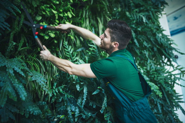 Sustentabilidade em Foco: Como Reduzir a Manutenção em Jardins Verticais Urbanos